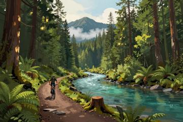 Illustrative header image for Cycling & Mountain Biking