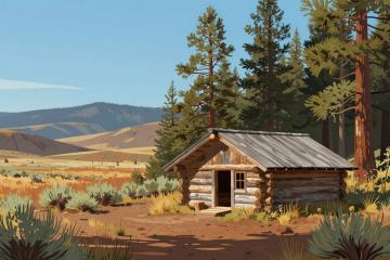Illustrative header image for Lodges & Cabins