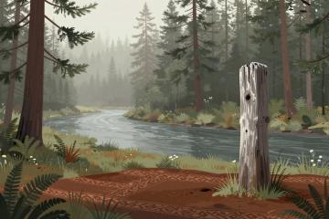 Illustrative header image for Native American Heritage