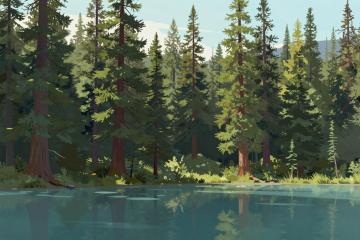 Illustrative header image for Passes & Permits
