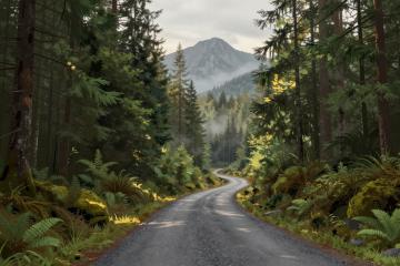 Illustrative header image for Scenic Drives