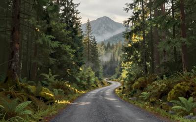 Illustrative header image for Scenic Drives