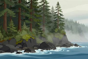 Illustrative header image for What to Pack