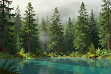 Illustrative header image for When to Visit