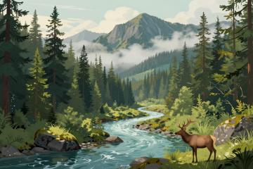 Illustrative header image for Wildlife & Ecology