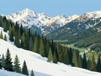 Winter Skiing