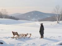 Winter Wonderland