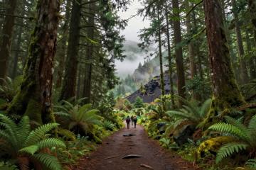 Hiking Trails in Bend