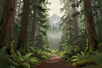 National Parks