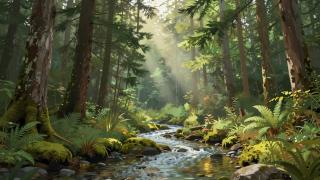 Natural Wonders