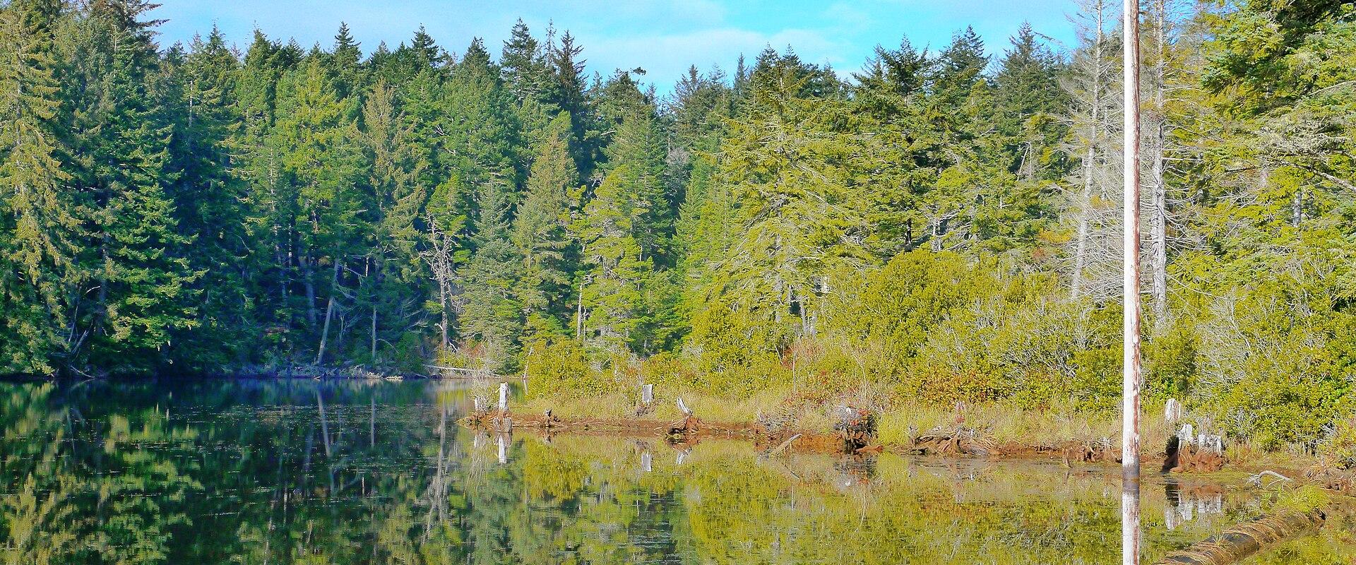 Jessie M. Honeyman Memorial State Park