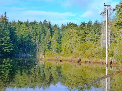 View of Cleawox Lake in Honeyman State Park