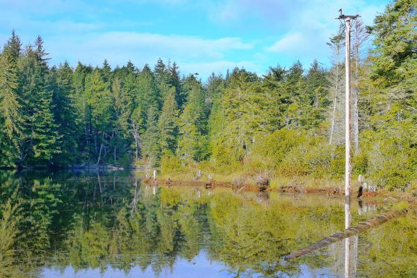 Jessie M. Honeyman Memorial State Park