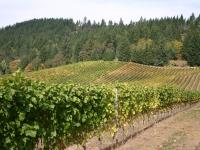 Willamette Valley