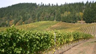 Willamette Valley