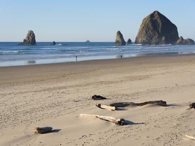 A wide sandy beach with scattered driftwood in the foreground and several large sea stacks rising from the ocean in the background under a clear sky.