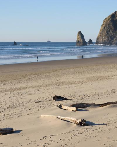 A wide sandy beach with scattered driftwood in the foreground and several large sea stacks rising from the ocean in the background under a clear sky.