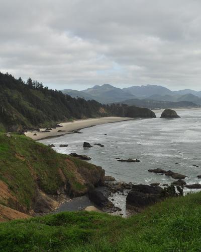 A coastal landscape view showing a sandy beach (Trestle Cove/Crescent Beach) below a grassy, forested bluff, with the ocean and sea stacks (Haystack Rock and others) in the distance.
