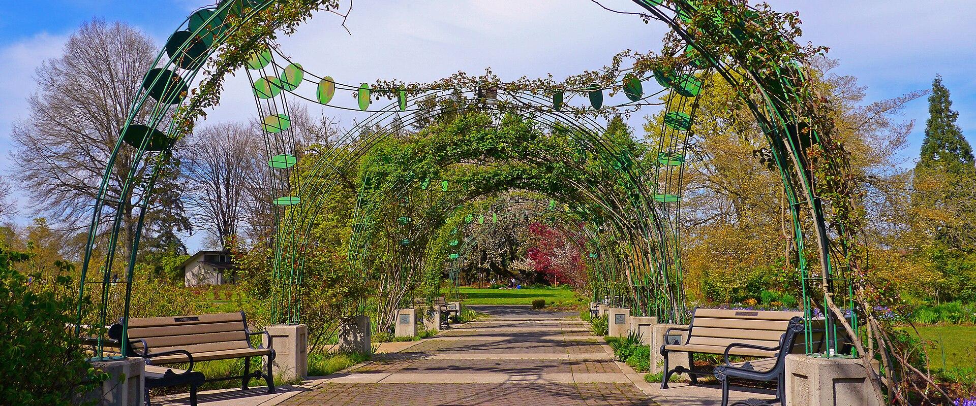 Owen Rose Garden
