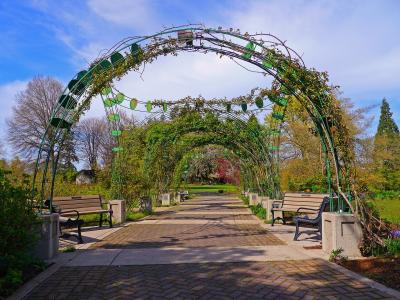 The image shows a paved walkway lined with green, leafy arches (trellises) and flanked by wooden benches, set within a garden environment.