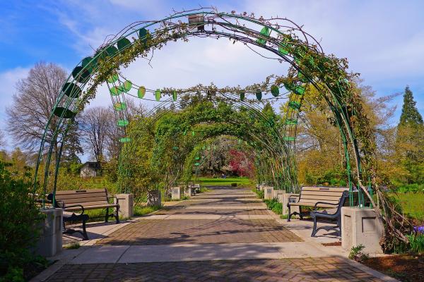 Owen Rose Garden