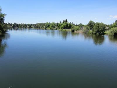 A wide, calm river or lake bordered by green trees and grassy banks under a blue sky, with houses visible in the background.