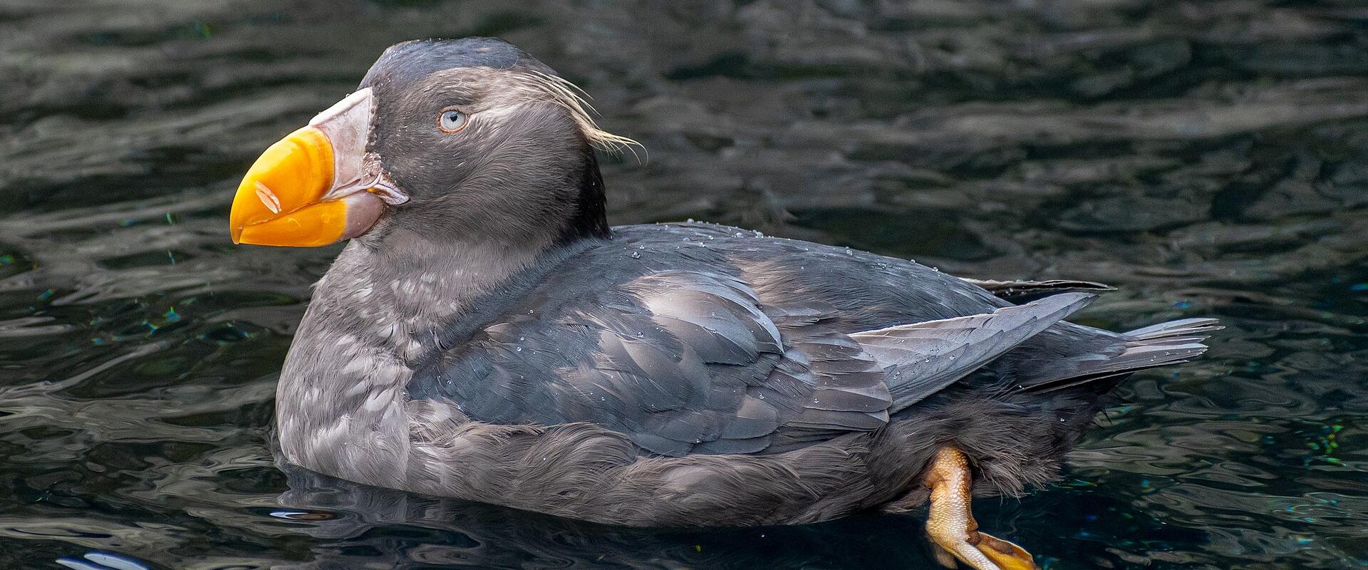 Oregon Coast Aquarium
