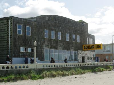 The image shows a large, dark-shingled building with a prominent yellow sign reading "AQUARIUM" on its side, situated on a sandy beach with people walking nearby.