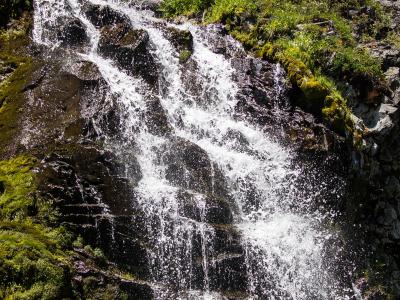 A waterfall cascading down a dark, moss-covered rock face, surrounded by green vegetation and trees, with no visible signage or man-made structures.