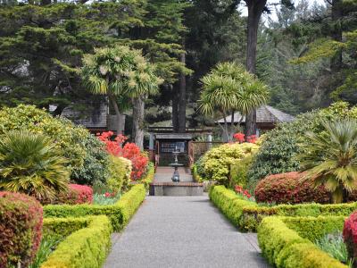 The image shows a formal garden path with manicured hedges, flanked by colorful azaleas and palm-like trees, leading towards a small fountain and a wooden structure in the background.