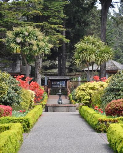 The image shows a formal garden path with manicured hedges, flanked by colorful azaleas and palm-like trees, leading towards a small fountain and a wooden structure in the background.