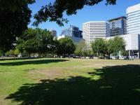 Tom McCall Waterfront Park