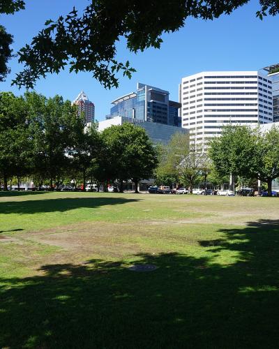 A view of a grassy park area with large trees in the foreground and several modern, multi-story office buildings in the background, including one with a distinctive curved, glass facade.