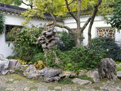 A traditional Chinese garden scene featuring a white wall with a decorative lattice window, a large scholar's rock, and a pebble mosaic path.