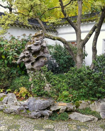 A traditional Chinese garden scene featuring a white wall with a decorative lattice window, a large scholar's rock, and a pebble mosaic path.