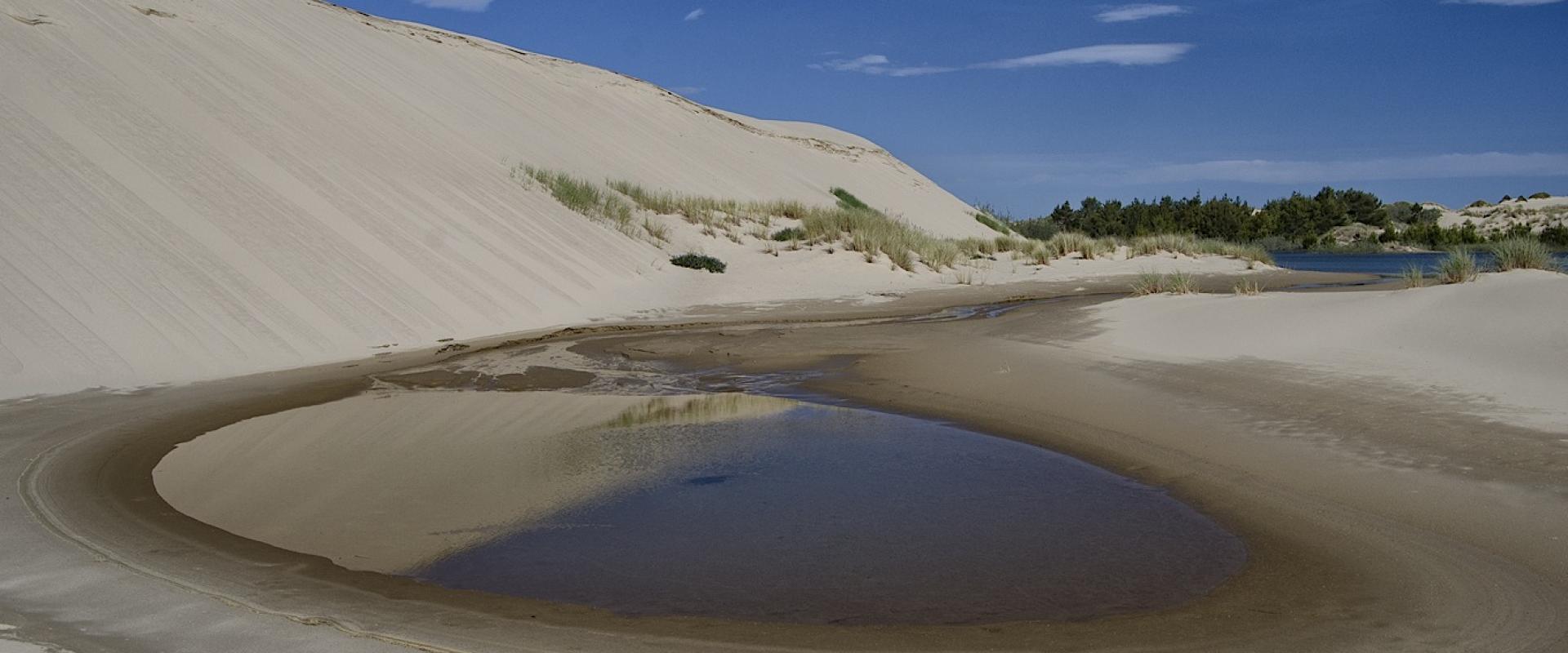 Oregon Dunes National Recreation Area