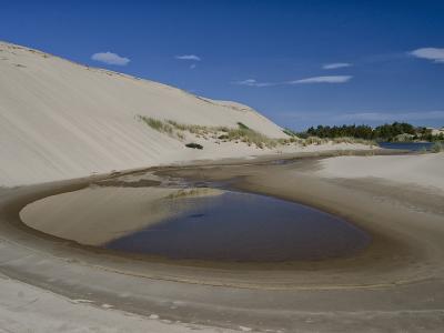 Oregon Dunes (5869952434)