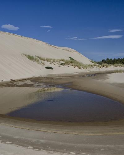 Oregon Dunes (5869952434)