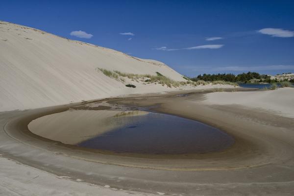Oregon Dunes National Recreation Area
