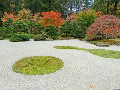 A view of a traditional Japanese rock garden (karesansui) featuring raked white gravel, moss mounds, and manicured evergreen trees, with a stone lantern visible in the background.