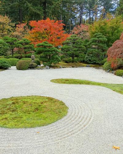 A view of a traditional Japanese rock garden (karesansui) featuring raked white gravel, moss mounds, and manicured evergreen trees, with a stone lantern visible in the background.