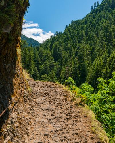 A dirt trail winding along a steep, mossy cliffside with a view of a dense forest and a cable car in the distance.