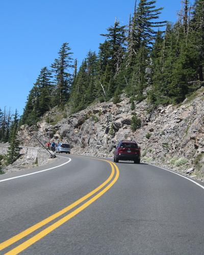A view from a moving vehicle looking down a two-lane paved road winding through a forest of coniferous trees, with a mountain slope visible in the background.