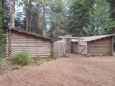 A reconstruction of a historic log fort with wooden palisades, a gate, and an American flag, set within a forest of tall evergreen trees.