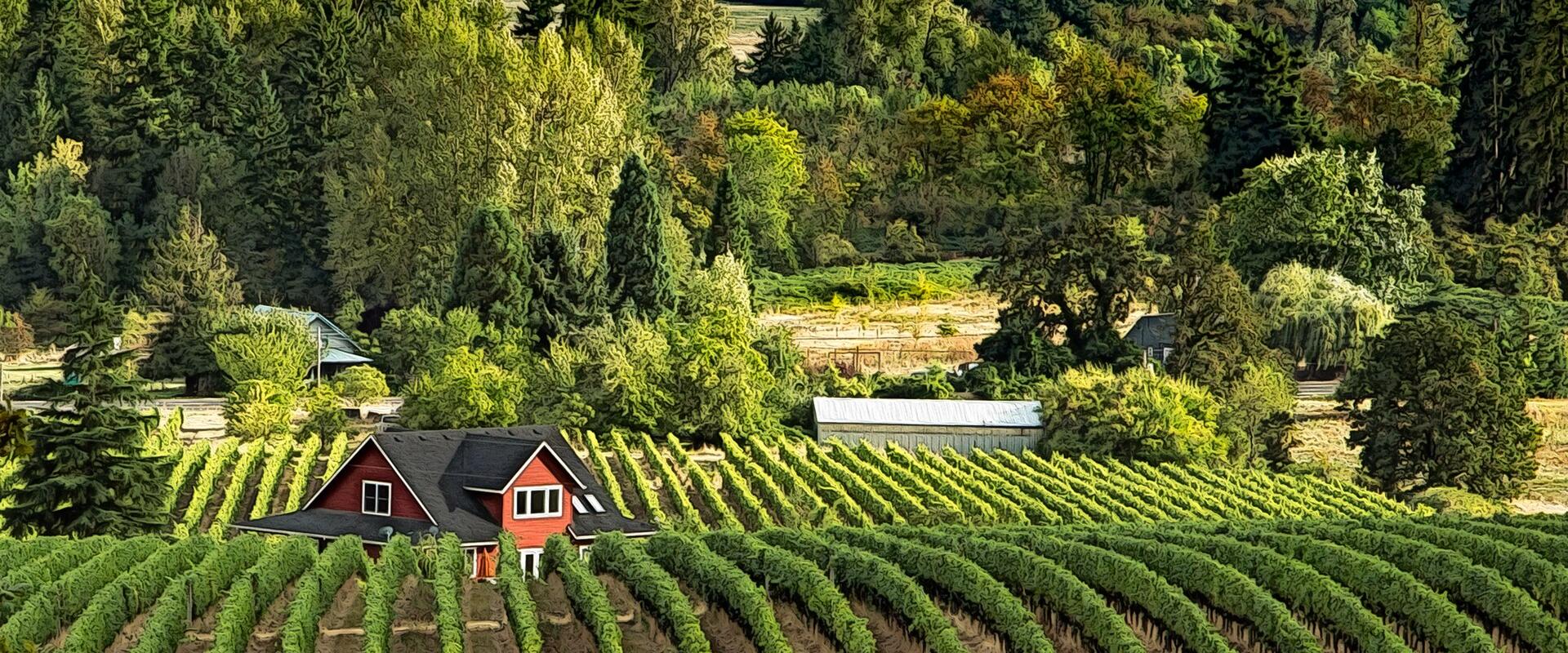 Willamette Valley Wine Country