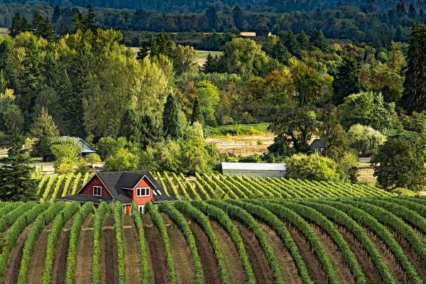 Willamette Valley Wine Country