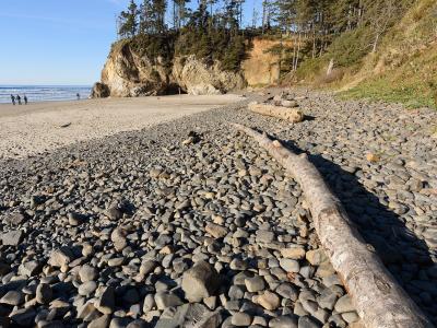 A rocky beach with a large driftwood log in the foreground, leading to a sandy area and a cliffside covered in trees under a blue sky.