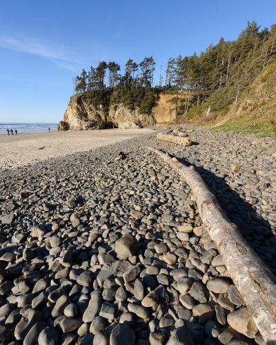 A rocky beach with a large driftwood log in the foreground, leading to a sandy area and a cliffside covered in trees under a blue sky.