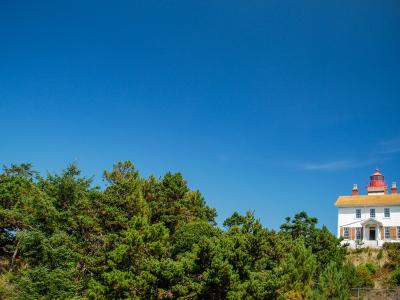 A white, two-story lighthouse building with a red lantern room and cupola, situated on a grassy hill, with dense green trees in the foreground and a clear blue sky above.