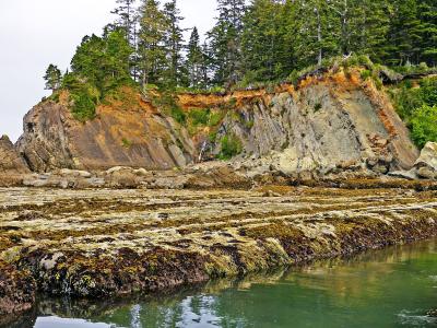 Sunset Bay State Park in Coos County, Oregon 17